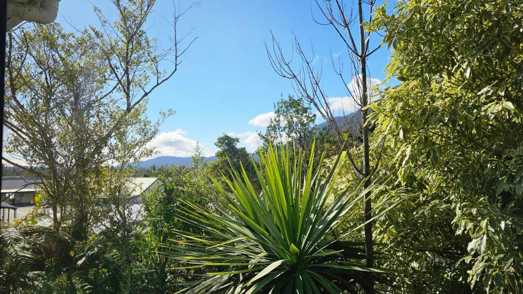 Wild Kea Lodge Franz Josef Ngoại thất bức ảnh